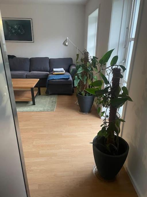 2 Bedroom Apartment Near The Sea 齐斯维勒莱厄 外观 照片